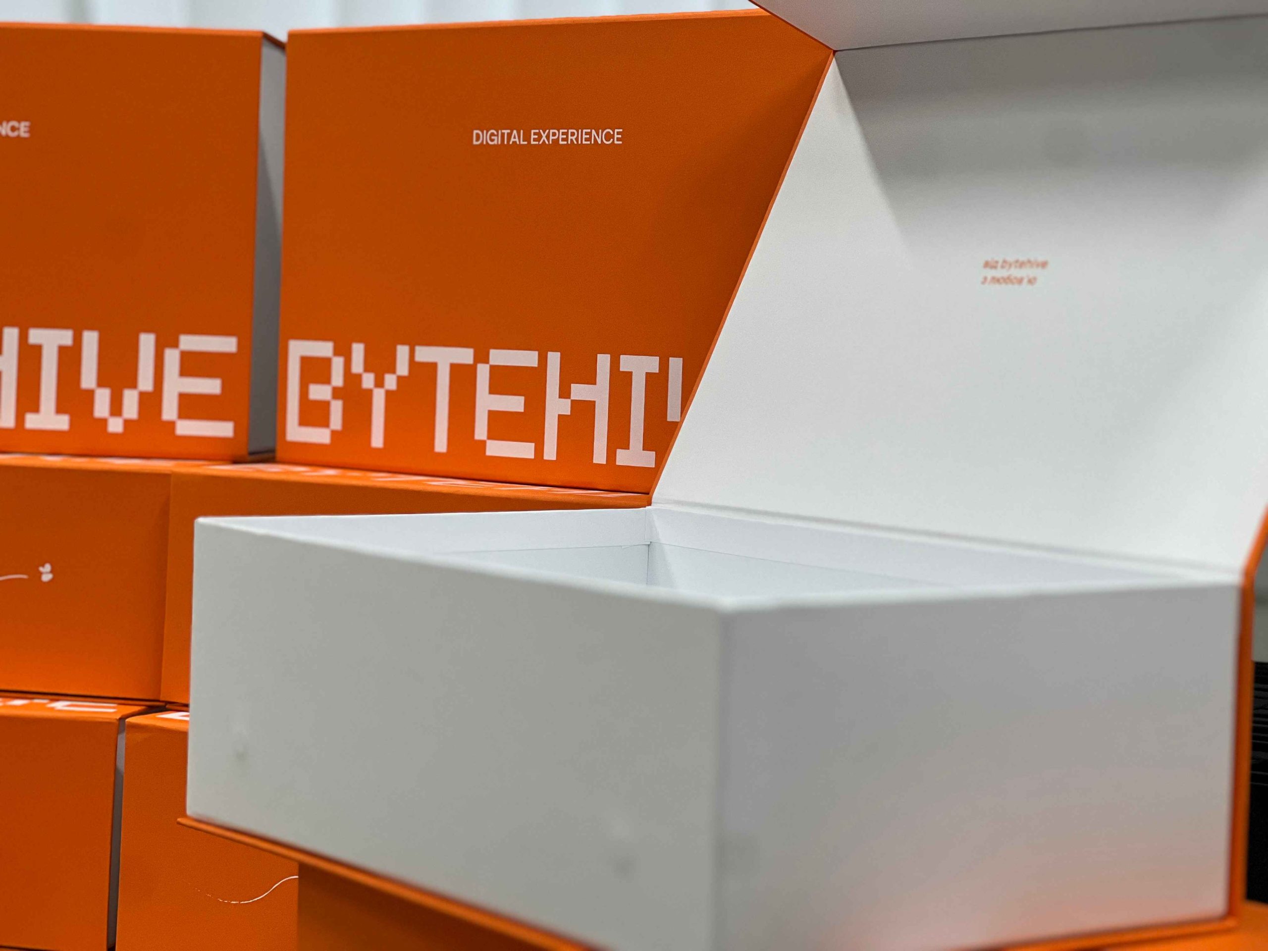 Подарункові коробки на магнітах для BYTEHIVE 4