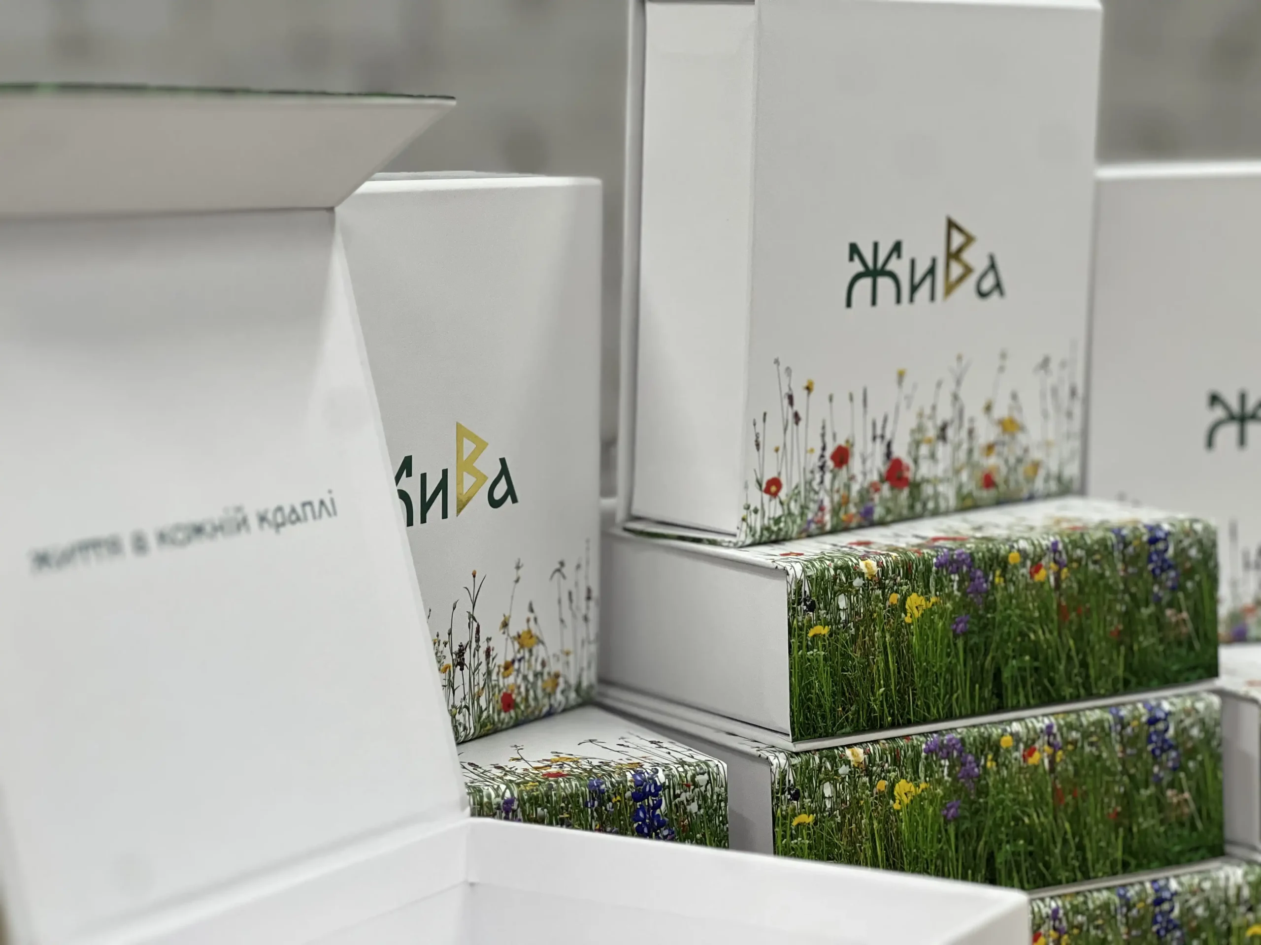 Production of secure packaging for Zhyva vials. Featuring durable cardboard, floral print, gold foil stamping, and protective matte lamination.